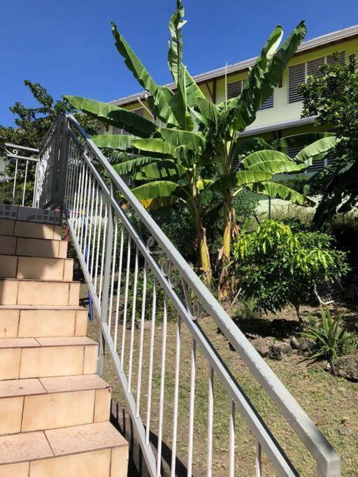 Studio Hibiscus-Ch Vue Sur Mer,Plage,Clim Les Anses-d'Arlets Exterior foto